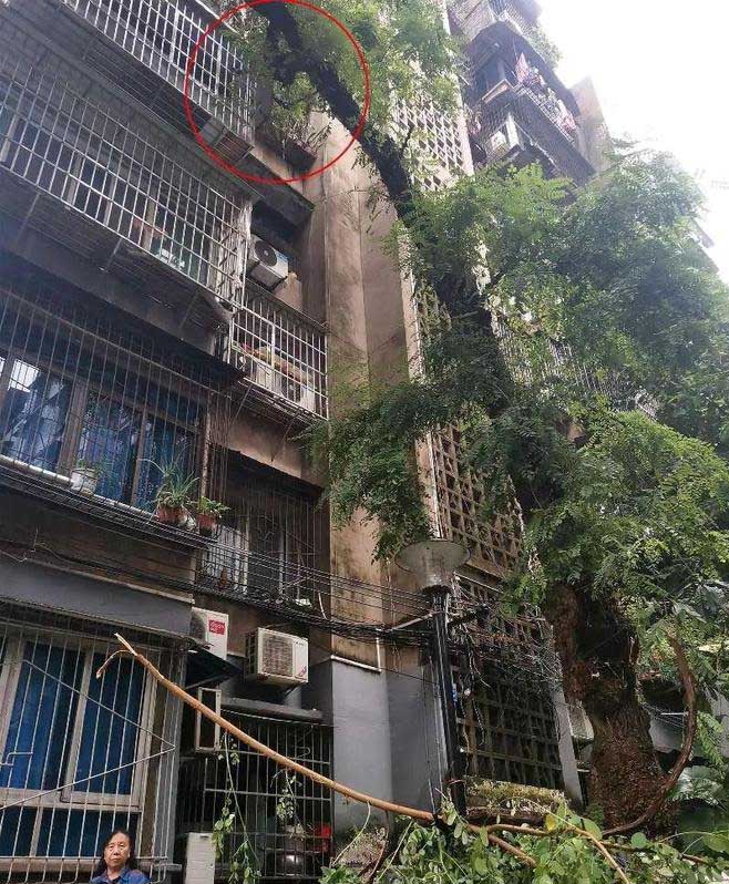 南京護欄 南京護欄